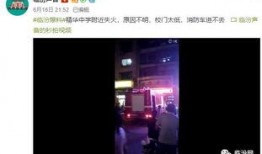 最新高校爆料视频下载,视频下载背后的真相与挑战